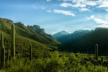 Pima County, AZ