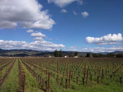 Napa County, CA