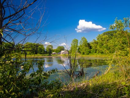 DeKalb County, IN