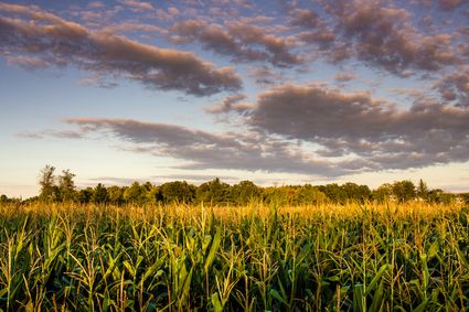 Alger County, MI