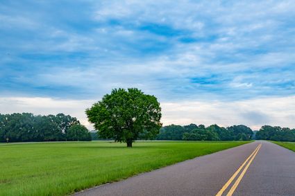 Alcorn County, MS