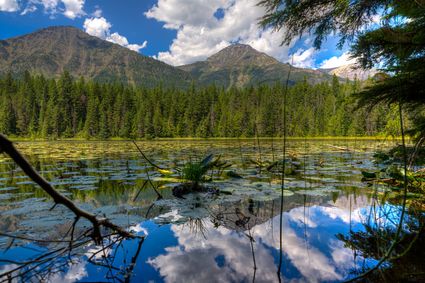 Park County, MT