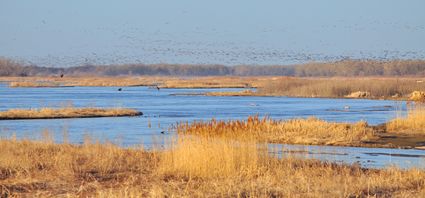 Hall County, NE