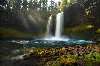 Lane County, OR