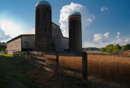 Bradley County, TN