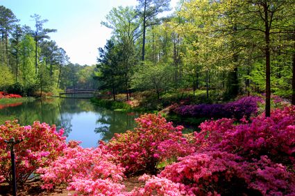 Northeast Georgia Regional Commission (Central)--Clarke County--Athens City PUMA, GA