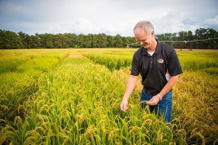 Agricultural & food scientists