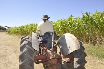 Miscellaneous agricultural workers, including animal breeders