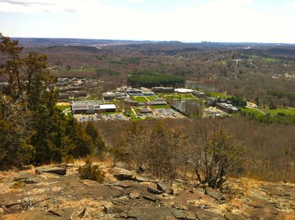 Quinnipiac University